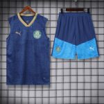 vest 24-25 Palmeiras dark blue training vest set