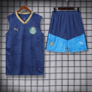 vest 24-25 Palmeiras dark blue training vest set