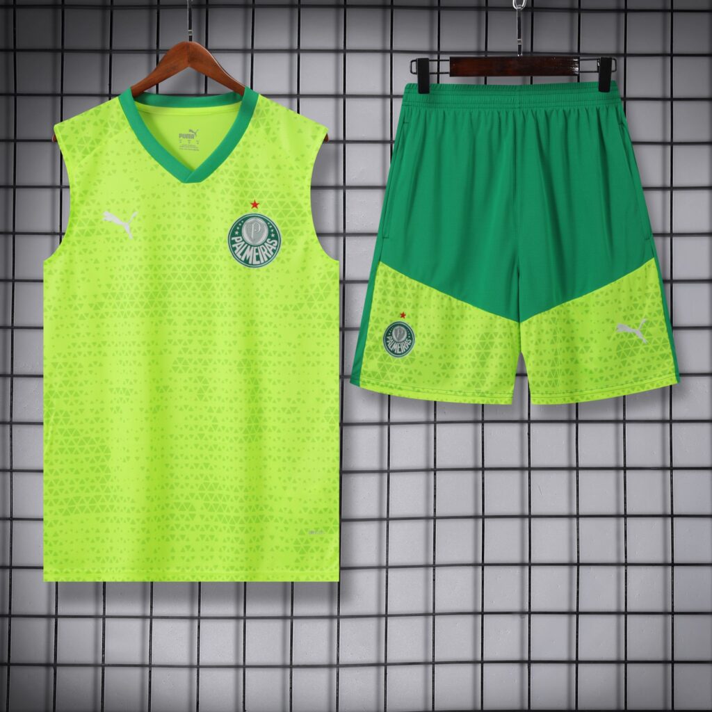 vest 24-25 Palmeiras light green training vest set