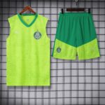vest 24-25 Palmeiras light green training vest set