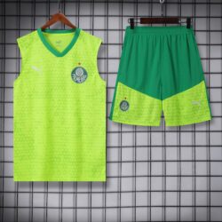 vest 24-25 Palmeiras light green training vest set