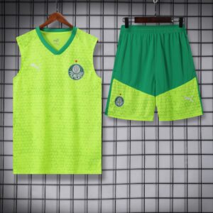 vest 24-25 Palmeiras light green training vest set
