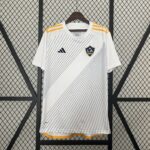 24-25 Galaxy Los Angeles Home