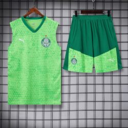 vest 24-25 Palmeiras medium green training vest set