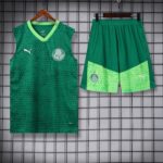 vest 24-25 Palmeiras dark green training vest set
