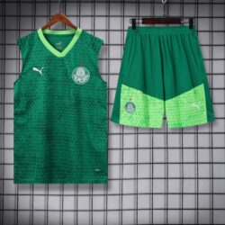 vest 24-25 Palmeiras dark green training vest set