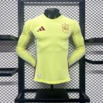 Spain 2024-25 Euro Away Long Sleeves Jersey – Player Version