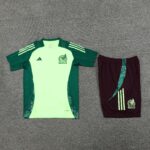 24-25 Mexico green training set size