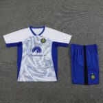 24-25 inter white blue training set