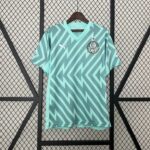24-25 Palmeiras Goalkeeper