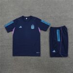 23-24 Argentina blue training set