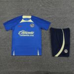 24-25 CA sky blue training set