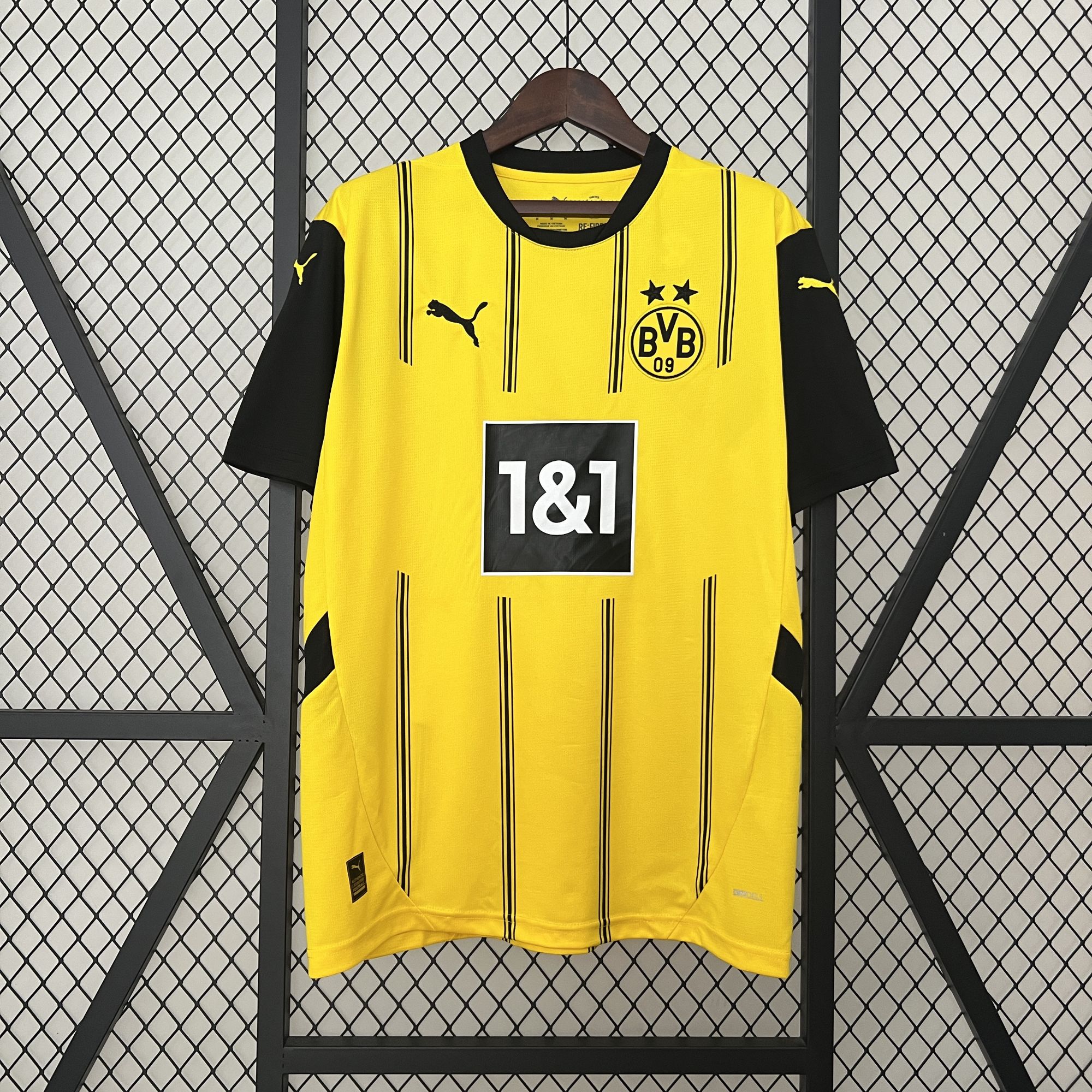 24-25 Dortmund Home