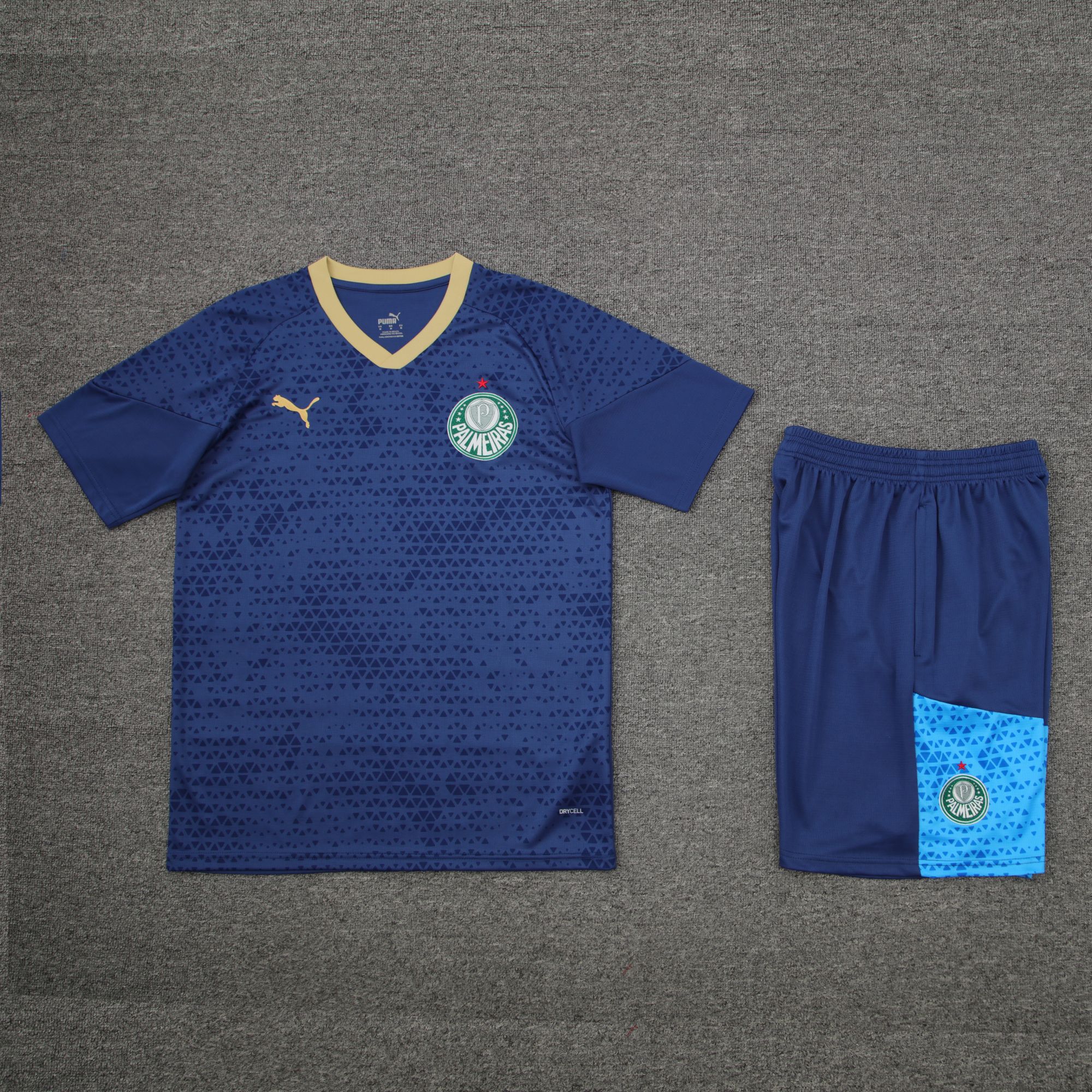 24-25 Palmeiras dark blue training set 24-25 Palmeiras dark blue training set