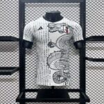 Japan 2024-25 Special Edition Jersey