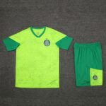 24-25 Palmeiras light green training set
