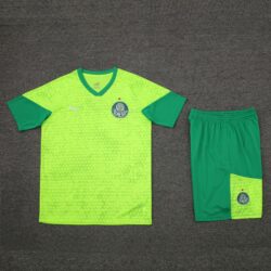 24-25 Palmeiras light green training set