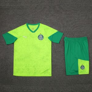 24-25 Palmeiras light green training set