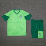24-25 Palmeiras medium green training set