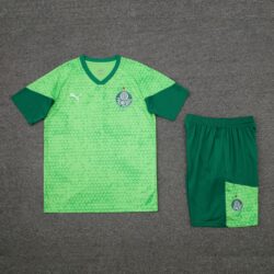 24-25 Palmeiras medium green training set