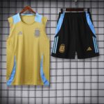 vest 24-25 Argentina gold training vest set