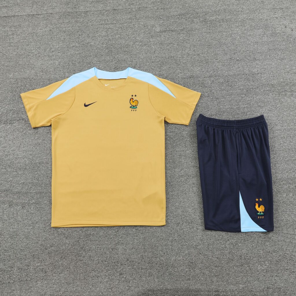 24-25 France biege training set