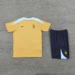 24-25 France biege training set