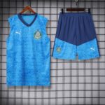 vest 24-25 Palmeiras light blue training vest set