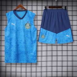 vest 24-25 Palmeiras light blue training vest set