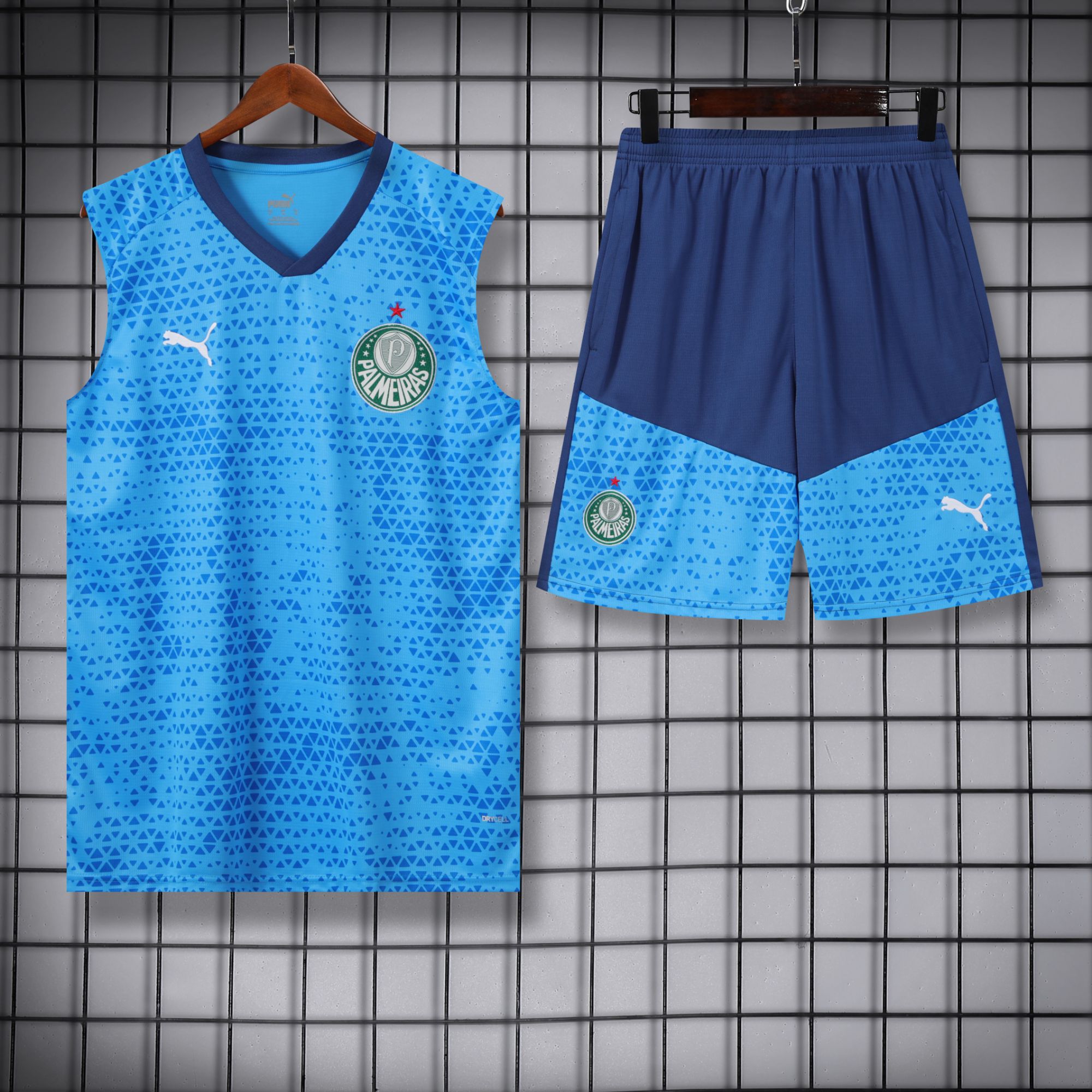 vest 24-25 Palmeiras light blue training vest set vest 24-25 Palmeiras light blue training vest set