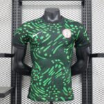 Nigeria 204-25 Home Jersey Player Version