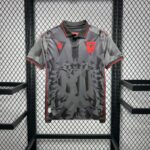 Albania 2024-25 Euro Third Away Jersey