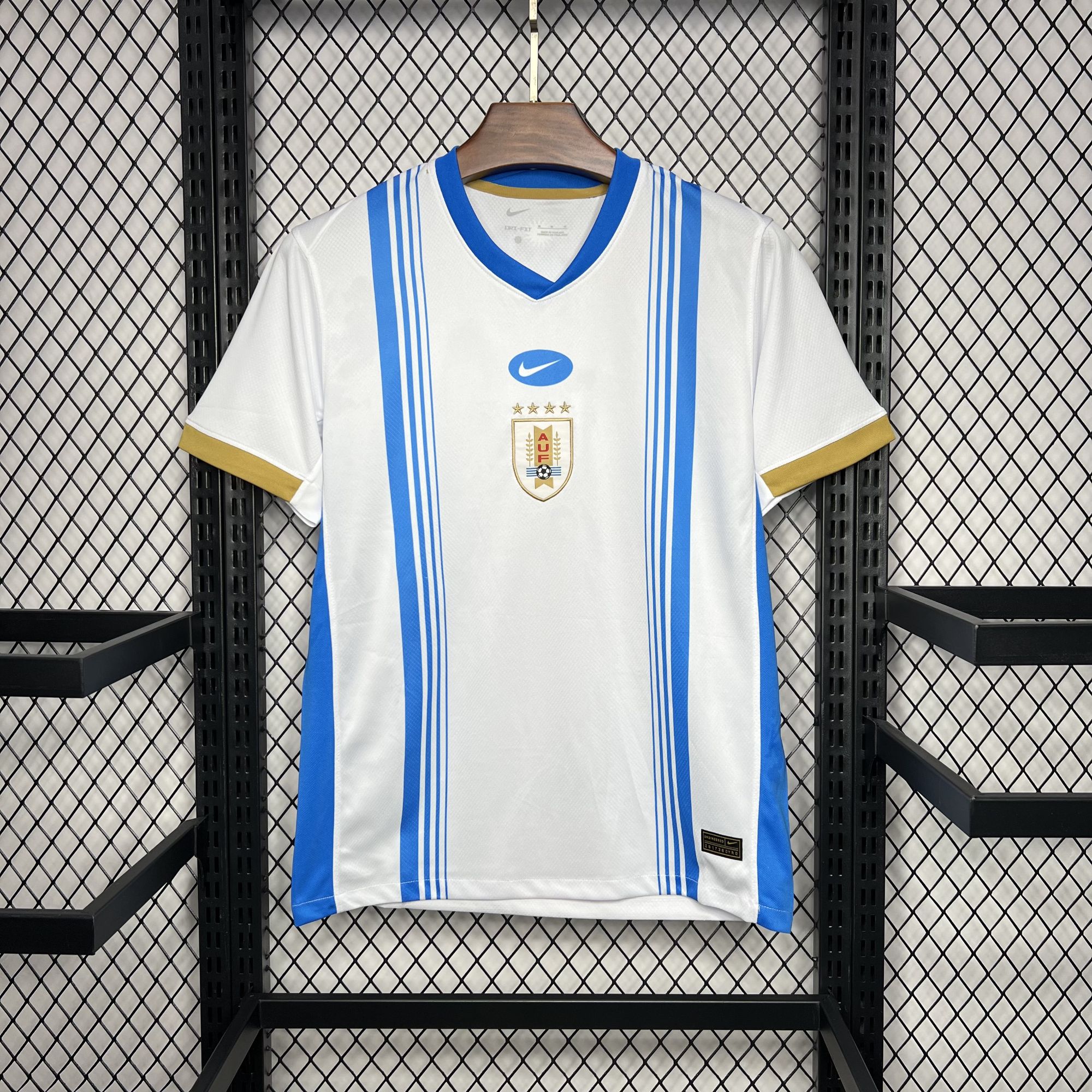 Uruguay 2024-25 Pre-match training Jersey