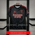 24-25 BENFICA AWAY JERSEY