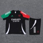 Arsenal Vest training suit