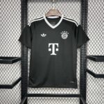 Bayern Munich 2024-25 Training Jersey