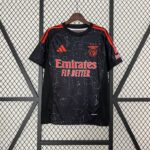 24-25 Benfica Away