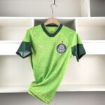 Camisa Palmeiras 24-25 Treino Kit - Verde