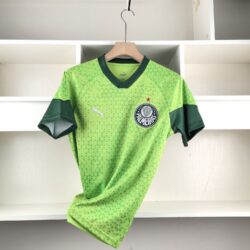 Camisa Palmeiras 24-25 Treino Kit - Verde