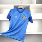 Camisa Palmeiras 2024-25 Blue