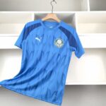 Camisa Palmeiras 2024-25 Blue