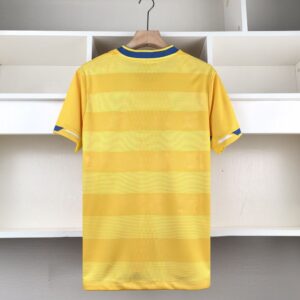 Brighton & Hove Albion 2024 25 Away Kit