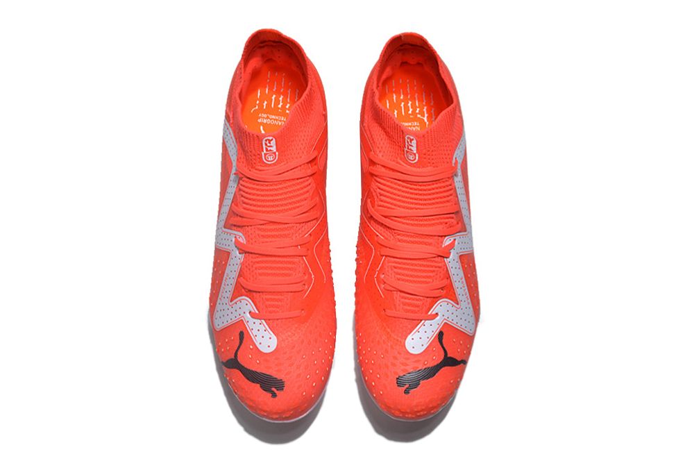 wp 17246249857663334170470421502440