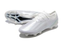 wp 17247136995246250913646580904303