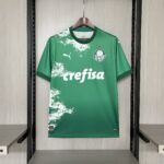 2024-2025 palmeiras jersey
