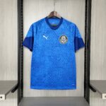 2024-2025 PALMEIRAS TRAINING BLUE JERSEY