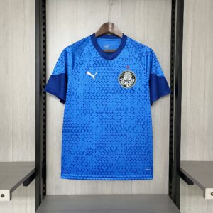 2024-2025 PALMEIRAS TRAINING BLUE JERSEY
