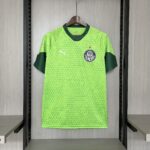 2024-2025 PALMEIRAS TRAINING GREEN JERSEY
