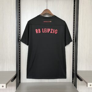 wp 17273763560291560617785263982101