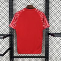Paris Saint-Germain 202425 Fourth Away Red Jersey